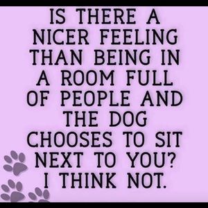 Meet your Posher, Joe